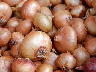 Onions